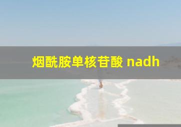 烟酰胺单核苷酸 nadh